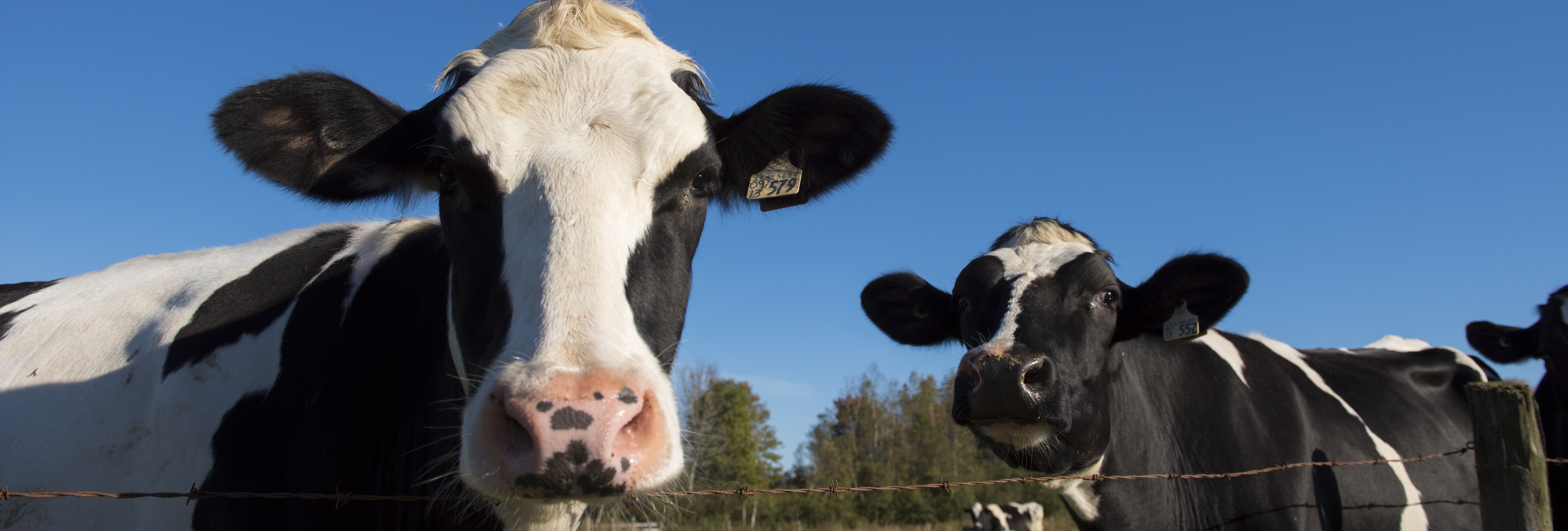 Contact Us Dairy Farmers of Nova Scotia Contact Us Dairy Farmers of Nova Scotia